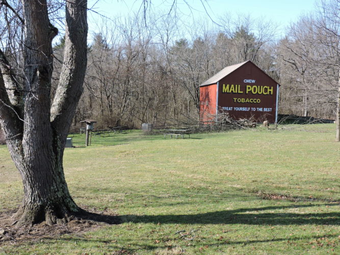 Barkcamp a Place for Exercising, Picnics, More